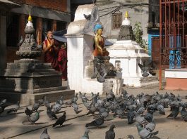 A Tale of Two Cities: Kathmandu and Dhaka