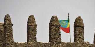 Washington Update: 50-State Strategy