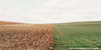 The Age of Dichotomy Is Tearing Up America