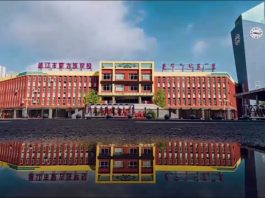 How China Shadowbanned “Mongolian”