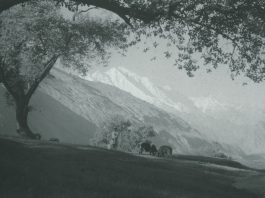 The Story of Mayar: Pakistan Denies Right to Life in Occupied Gilgit-Baltistan