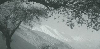 The Story of Mayar: Pakistan Denies Right to Life in Occupied Gilgit-Baltistan