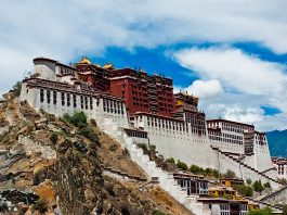 Tibet Today: Surveillance, Suppression, and the Silenced Majority