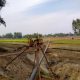 India-Bangladesh Friendship Pipeline Under Construction (2021)