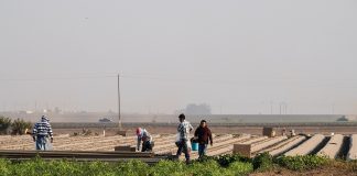 Renewing a Nation of Producers: Tax Consumption, Not Production
