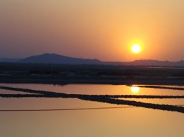 From Colonial ‘Wasteland’ to Cultural Wetland: Redefining Ecological Dignity