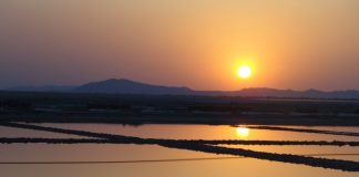 From Colonial ‘Wasteland’ to Cultural Wetland: Redefining Ecological Dignity