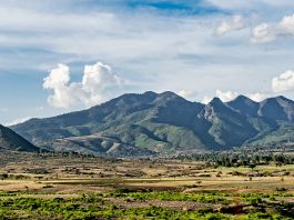 Washington Update: Arsi Human Rights Crisis