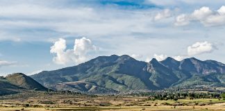 Washington Update: Arsi Human Rights Crisis