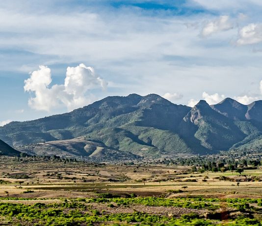 Washington Update: Arsi Human Rights Crisis
